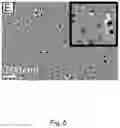 Fig. 06 - Device and method for isolating extracellular vesicles from biofluids