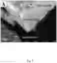 Fig. 08 - Device and method for isolating extracellular vesicles from biofluids