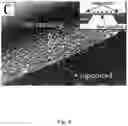 Fig. 10 - Device and method for isolating extracellular vesicles from biofluids
