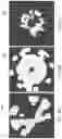 Fig. 12 - System and method for tracing a gemstones journey from the mine to the consumer by detecting inclusions in the gemstone
