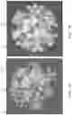 Fig. 13 - System and method for tracing a gemstones journey from the mine to the consumer by detecting inclusions in the gemstone