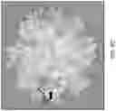 Fig. 15 - System and method for tracing a gemstones journey from the mine to the consumer by detecting inclusions in the gemstone
