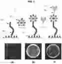 Fig. 02 - Selective optical detection of organic analytes in liquids
