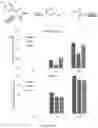 Fig. 09 - SOLID-PHASE N-TERMINAL PEPTIDE CAPTURE AND RELEASE