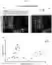 Fig. 02 - A METHOD OF DIAGNOSING OR PROGNOSING PSORIATIC ARTHRITIS