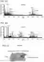 Fig. 08 - Mass spectral tissue analysis