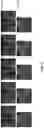 Fig. 06 - Low-rank tensor imaging for quantitative MRI