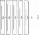 Fig. 08 - LIGHT DETECTION AND RANGING SYSTEM WITH POLYGON SHAPED ENCLOSURE