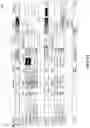 Fig. 22 - Digital processing systems and methods for pre-populating templates in a tablature system