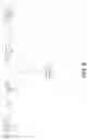 Fig. 09 - Systems and methods of artificially intelligent sentiment analysis