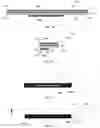 Fig. 08 - Self-expiring identification bands and methods of use thereof