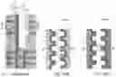 Fig. 53 - Three-dimensional memory device with wiggled drain-select-level isolation structure and methods of manufacturing the same