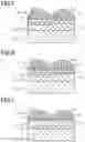 Fig. 04 - SOLID-STATE IMAGE SENSOR FILTER AND SOLID-STATE IMAGE SENSOR
