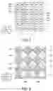 Fig. 04 - ELECTRO-OPTICAL DEVICE AND ELECTRONIC APPARATUS