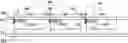 Fig. 01 - Display apparatus, counter substrate of display apparatus, method of fabricating display apparatus