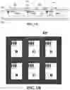 Fig. 02 - Display apparatus, counter substrate of display apparatus, method of fabricating display apparatus
