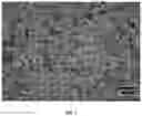Fig. 02 - Copper electrode material