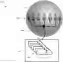 Fig. 01 - MOBILE NETWORK ARCHITECTURE AND METHOD OF USE THEREOF