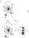 Fig. 11 - Autonomous sharing of data between geographically proximate nodes