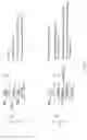 Fig. 06 - Dynamic media access control addresses in a wireless network