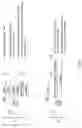 Fig. 07 - Dynamic media access control addresses in a wireless network