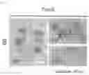 Fig. 02 - Method for screening saltiness enhancer using saltiness receptor