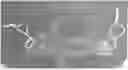 Fig. 01 - Transparent Protective Face Mask