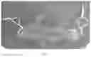 Fig. 02 - Transparent Protective Face Mask