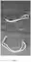 Fig. 23 - Transparent Protective Face Mask