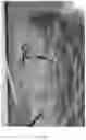 Fig. 27 - Transparent Protective Face Mask