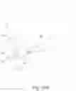 Fig. 32 - Transparent Protective Face Mask