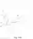 Fig. 33 - Transparent Protective Face Mask