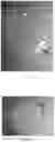 Fig. 42 - Transparent Protective Face Mask