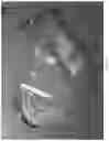 Fig. 43 - Transparent Protective Face Mask