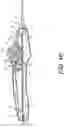 Fig. 14 - Wheel lock for thumbwheel actuated device