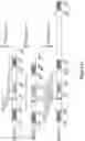 Fig. 02 - Methods and materials for identifying and treating bet inhibitor-resistant cancers