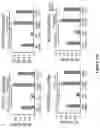 Fig. 106 - Methods and materials for identifying and treating bet inhibitor-resistant cancers