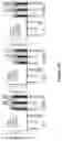 Fig. 107 - Methods and materials for identifying and treating bet inhibitor-resistant cancers