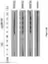 Fig. 11 - Methods and materials for identifying and treating bet inhibitor-resistant cancers