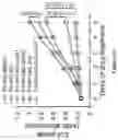 Fig. 112 - Methods and materials for identifying and treating bet inhibitor-resistant cancers