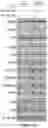Fig. 118 - Methods and materials for identifying and treating bet inhibitor-resistant cancers