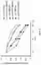 Fig. 12 - Methods and materials for identifying and treating bet inhibitor-resistant cancers