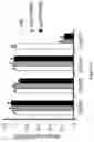 Fig. 13 - Methods and materials for identifying and treating bet inhibitor-resistant cancers