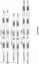 Fig. 18 - Methods and materials for identifying and treating bet inhibitor-resistant cancers