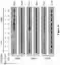 Fig. 21 - Methods and materials for identifying and treating bet inhibitor-resistant cancers