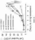 Fig. 35 - Methods and materials for identifying and treating bet inhibitor-resistant cancers