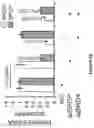 Fig. 40 - Methods and materials for identifying and treating bet inhibitor-resistant cancers