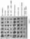 Fig. 58 - Methods and materials for identifying and treating bet inhibitor-resistant cancers