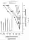 Fig. 59 - Methods and materials for identifying and treating bet inhibitor-resistant cancers