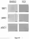 Fig. 70 - Methods and materials for identifying and treating bet inhibitor-resistant cancers